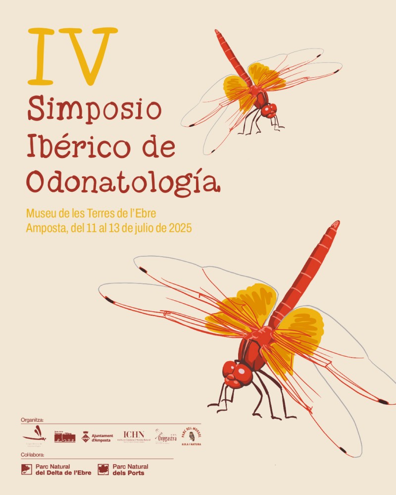 Amposta acull el IV Simposi Ibric d’Odonatologia | Amposta.info