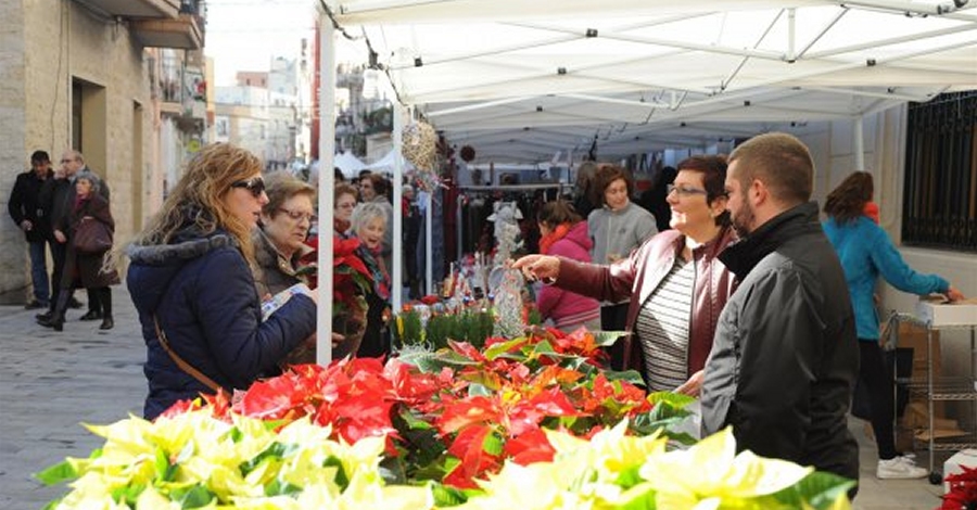 El Mercat de Santa Ll�cia d�Amposta tindr� m�s de 50 parades