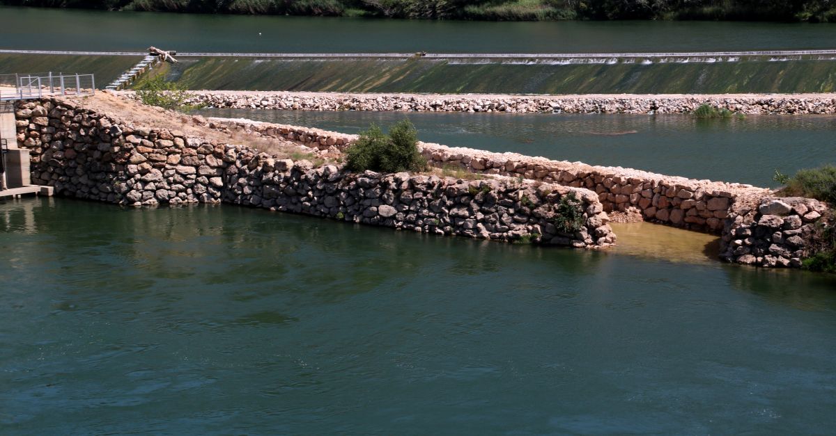 El Life MigratoEbre acaba amb la rampa de peixos de Xerta a punt i els esturions alliberats despla�ats al litoral ebrenc