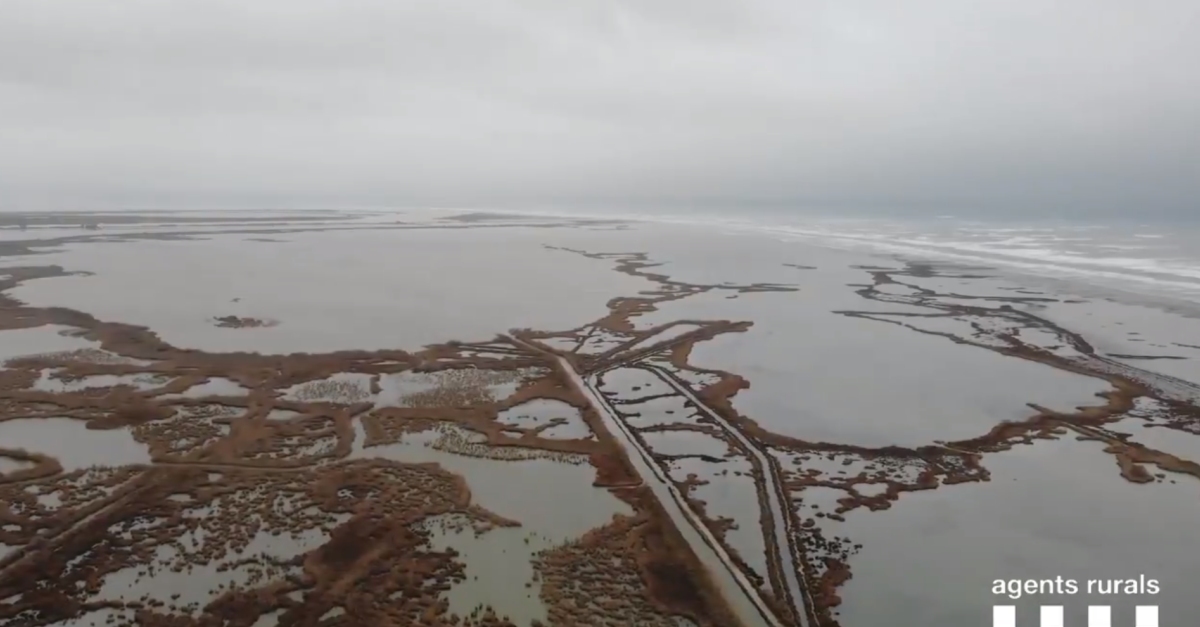 El Govern lamenta que el Ministeri posposi a la tardor les obres per refor�ar el litoral del delta de l&rsquo;Ebre