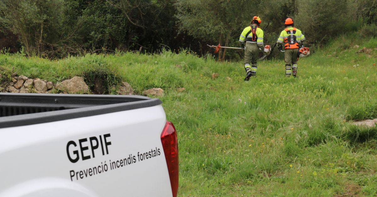 Unes 250 dones han hagut de marxar de l�Ebre per interrompre l�embar�s volunt�riament i quir�rgicament des del 2019