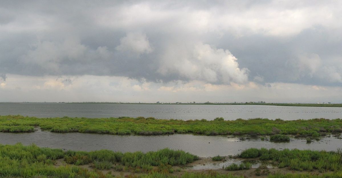 Acci� Clim�tica refor�ar� les guardes de protecci� de les basses del delta de l&rsquo;Ebre a principis d&rsquo;any