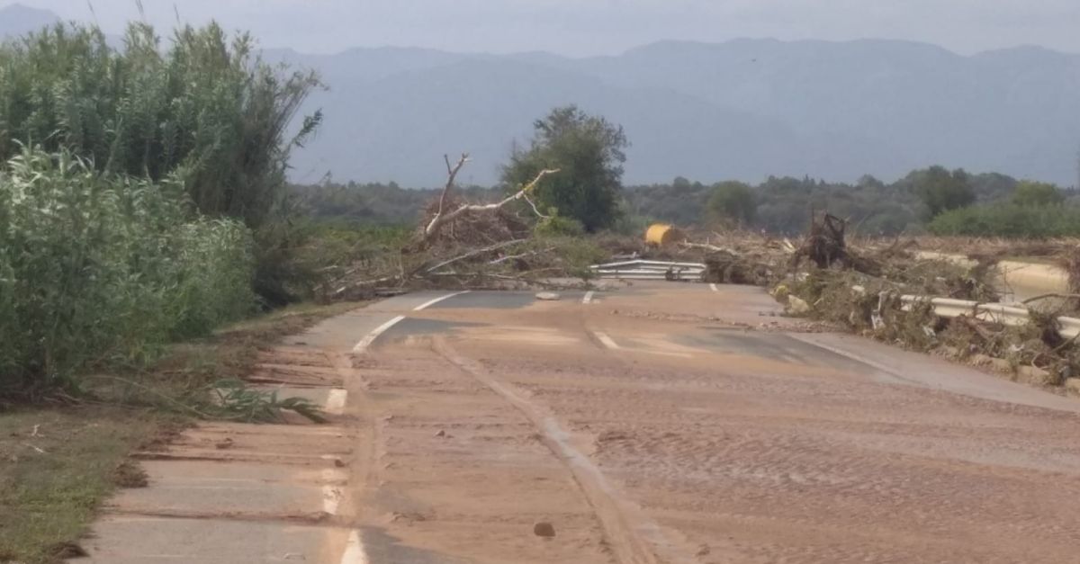 El sector agrari no preveu descens generalitzat en la producci� d&rsquo;olivera, c�tric i arr�s a causa de la Dana