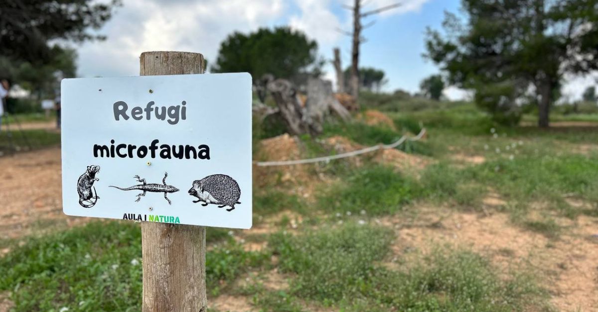 Subvenci� de 15.000 euros al foment de la biodiversitat al Parc del Mussol