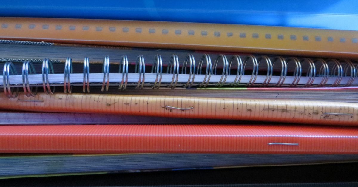 L�Ajuntament d�Amposta atorga prop de 40.000 euros a les AFES dels centres educatius per a la socialitzaci� dels llibres