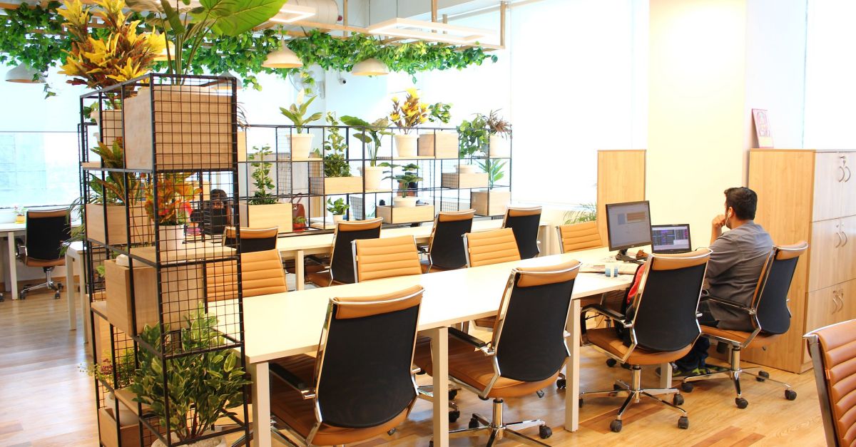 Amposta crea unes ajudes per a persones usu�ries dels espais de coworking