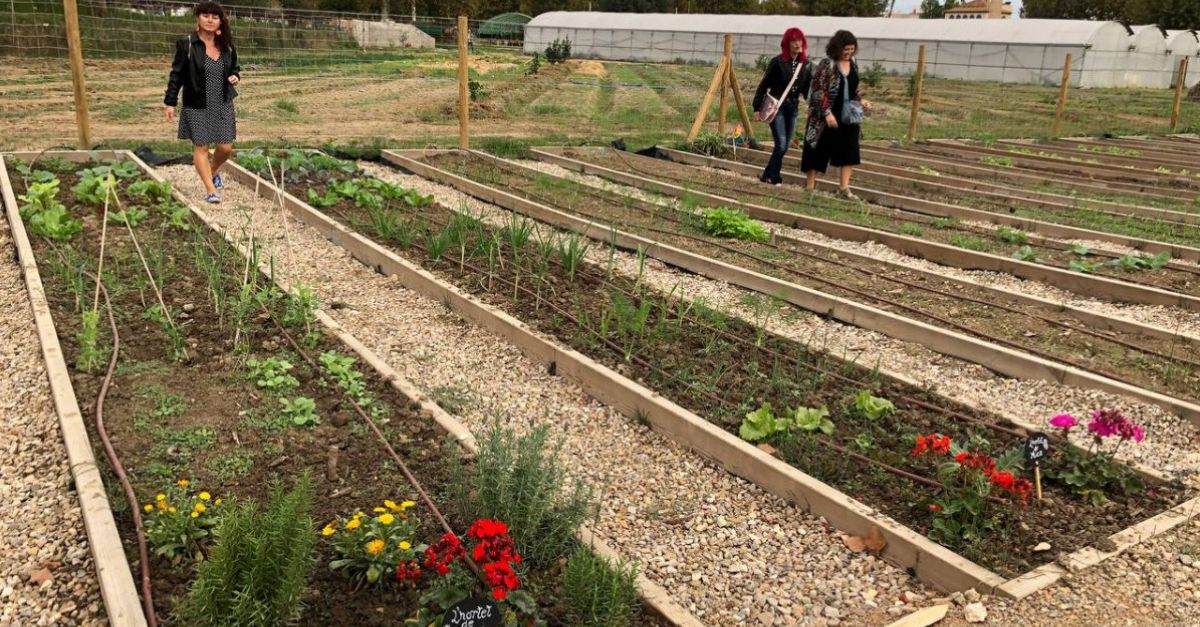 L�hort comunitari Lo Tros s�amplia amb onze parcel�les m�s