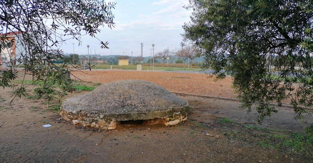 L�Ajuntament d�Amposta declara B� Cultural d�Inter�s Local els nius de metralladores