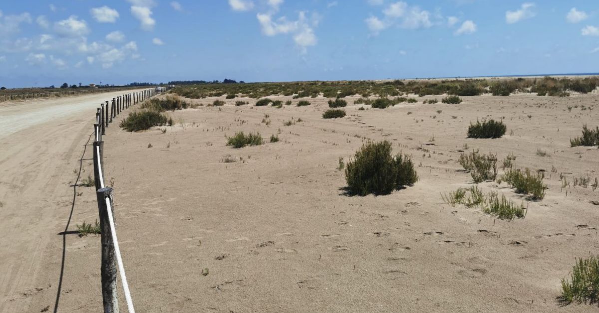 Amposta implanta un model de neteja m�s sostenible a la platja dels Eucaliptus