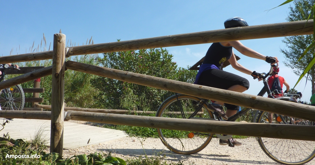 Amposta rep el segell de Cicloturisme i promociona la bicicleta com a part fonamental de l�experi�ncia tur�stica