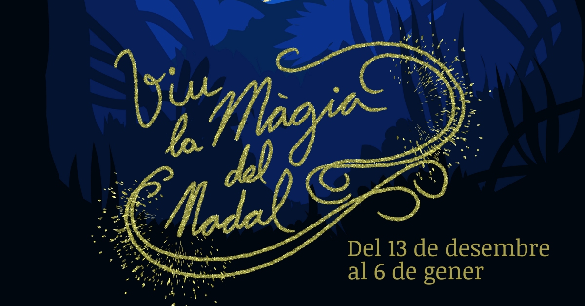 Amposta prepara un Nadal amb activitats digitals i  solid�ries