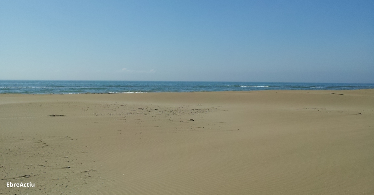 Amposta reordena els accessos i usos de la platja d�Eucaliptus per� no far� pagar els vehicles per entrar-hi