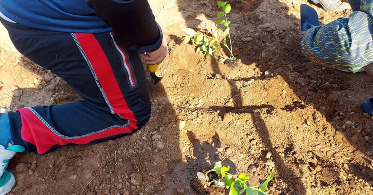 Amposta celebra el Dia Internacional dels Boscos amb la creaci� d�una nova zona verda