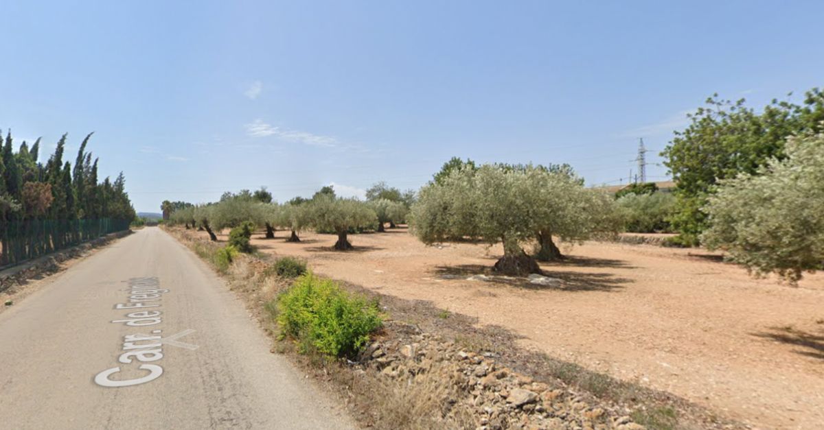 El Consell Comarcal del Montsi� adjudica els treballs previs de recuperaci� del carril bici de l�Eurovelo al seu pas per Amposta