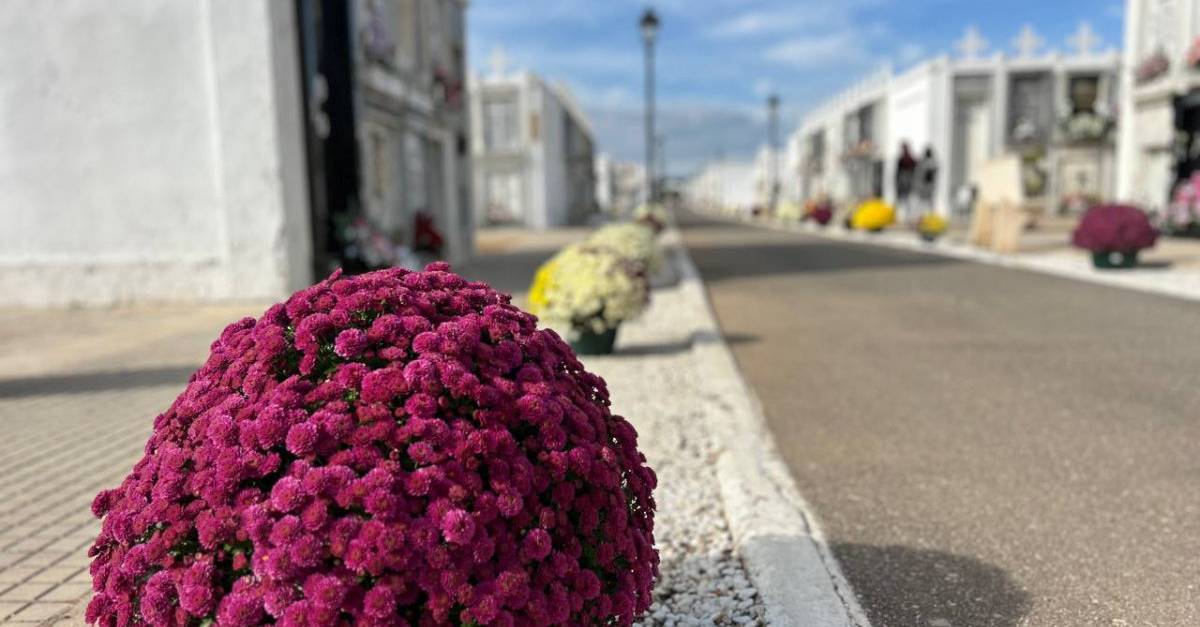 Amposta licita per primer cop la gesti� integral del Cementiri Municipal per 450.000 euros