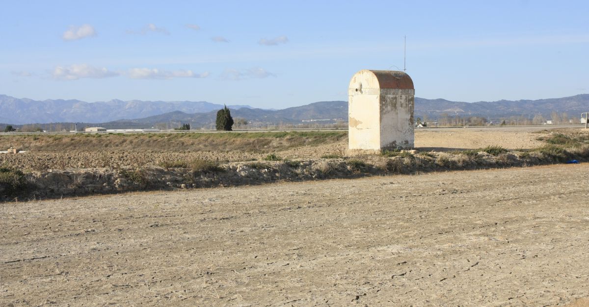 Assecar els arrossars despr�s de collir redueix les emissions de met�, per� perjudica les aus aqu�tiques del Delta