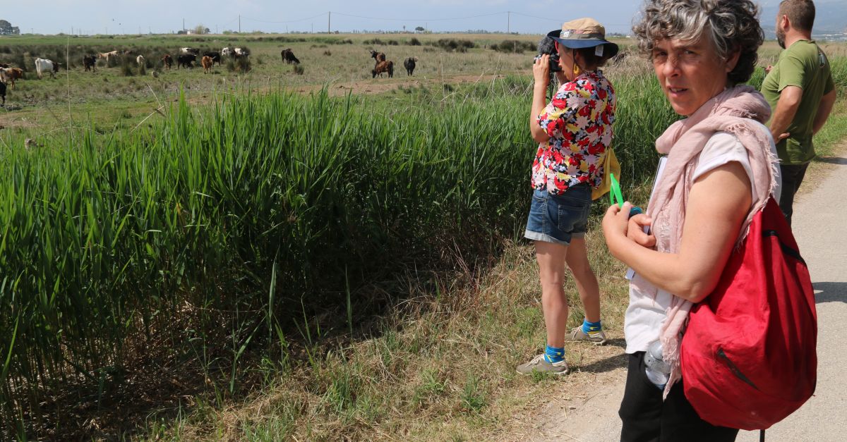 Set artistes conviuen amb bous i pastors als Ports, l&rsquo;Ebre i el Delta per inspirar futures creacions