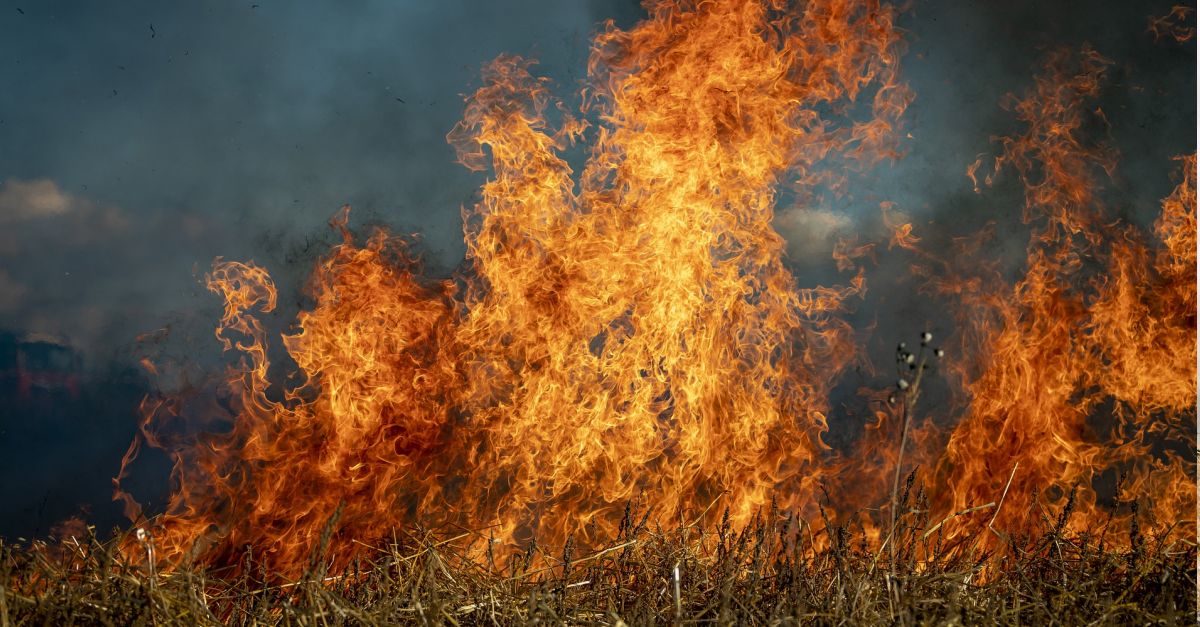 Des d&rsquo;avui i dins el 15 d&rsquo;octubre, no es pot fer foc als terrenys forestals