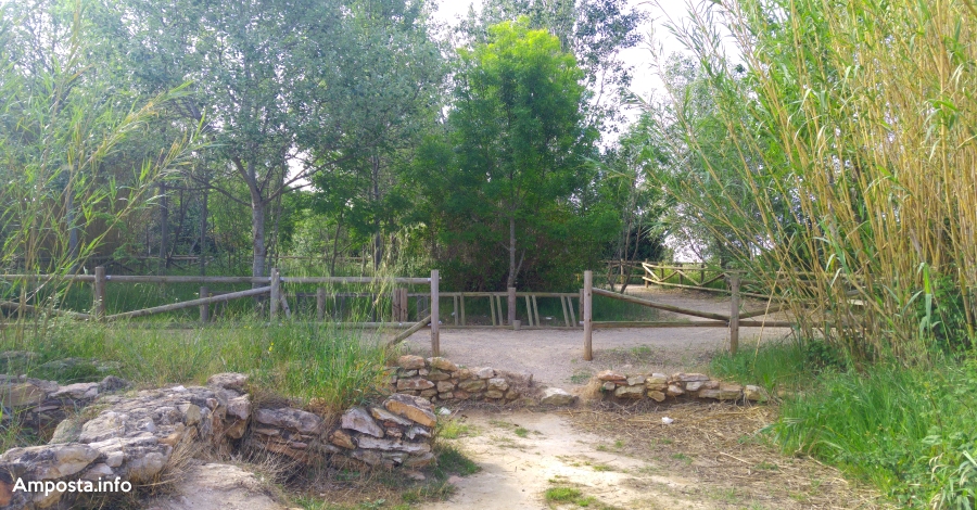 Obertes les inscripcions per a la Bicicletada per la Igualtat