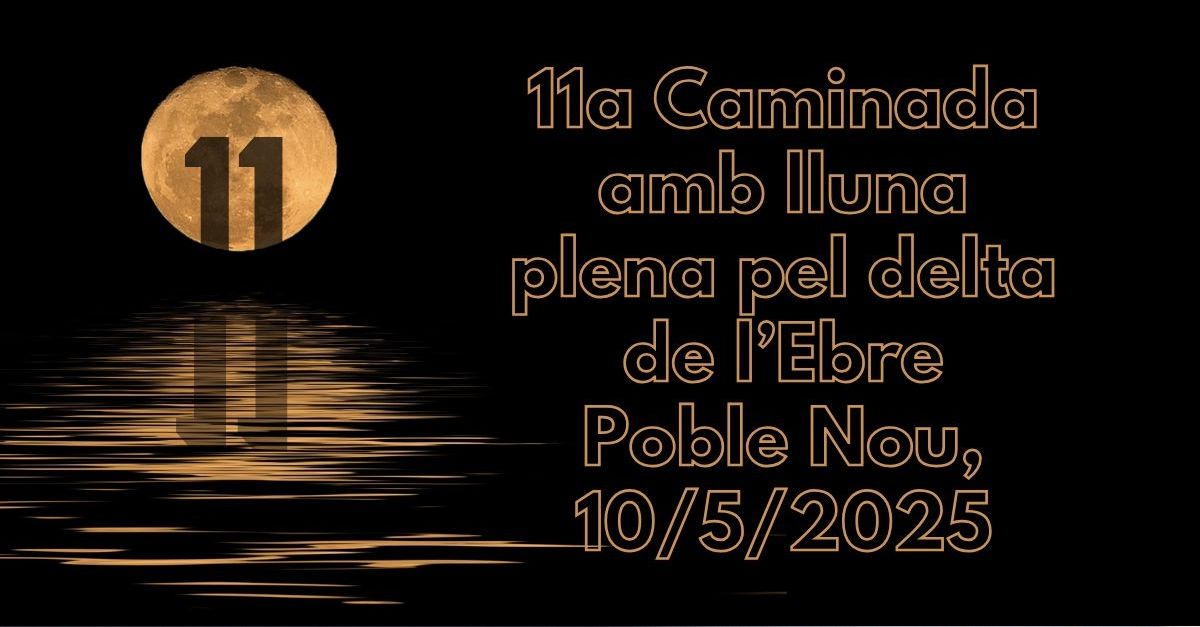 11a Caminada amb lluna plena pel Delta de lEbre