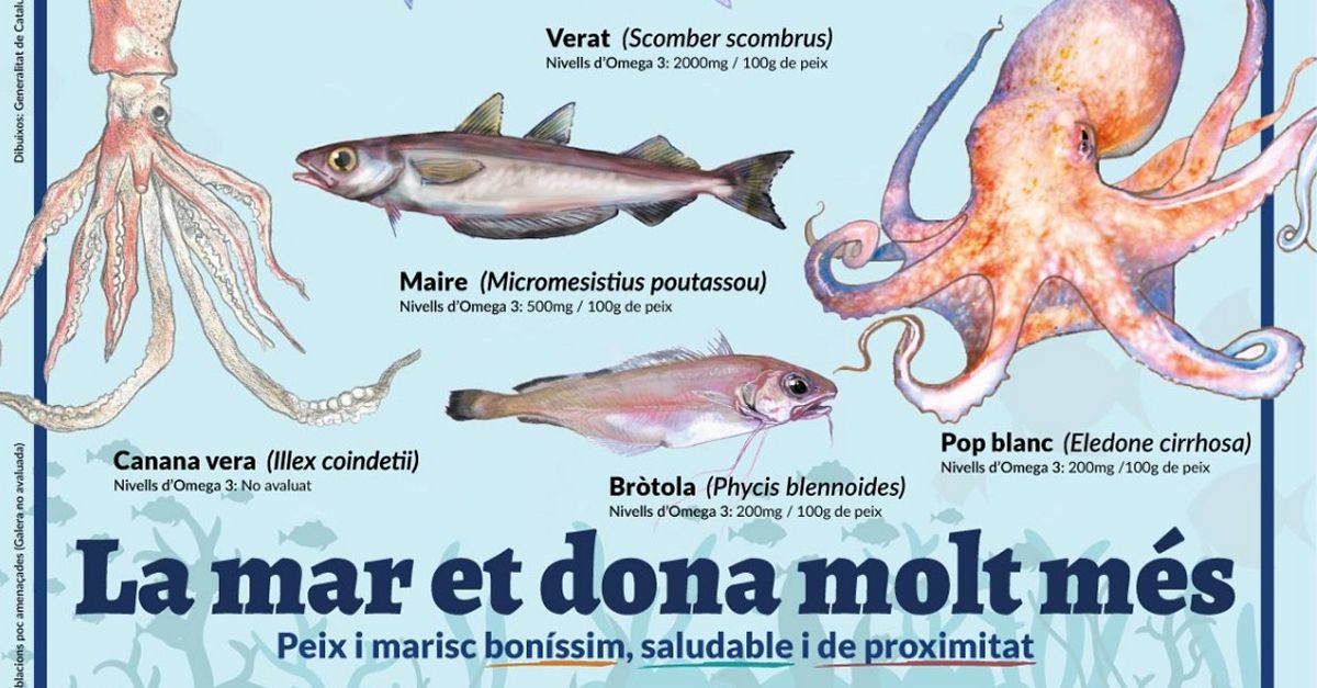 Campanya per promoure el consum d�esp�cies pesqueres de proximitat poc conegudes i poc valorades pel consumidor