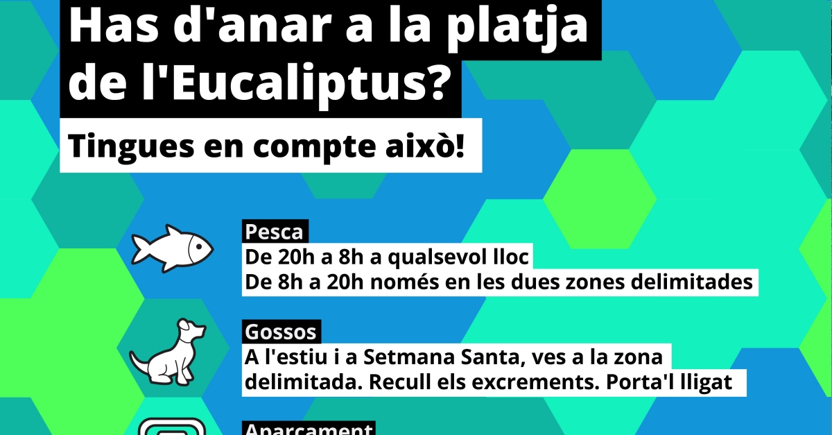 Amposta engega una campanya per conscienciar sobre el bon �s de la platja de l�Eucaliptus
