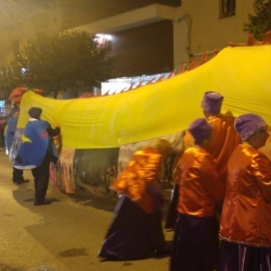 Galeria de fotos rua de Carnestoltes Amposta 2017