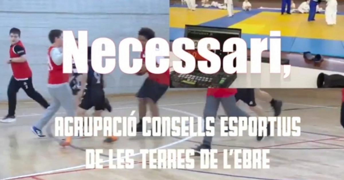 Els consells esportius de les Terres de l&rsquo;Ebre engeguen una campanya per fomentar l&rsquo;esport en edat escolar