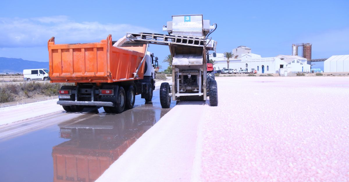 La sequera beneficia la collita de sal del delta de l’Ebre, que podria arribar a les 120.000 tones