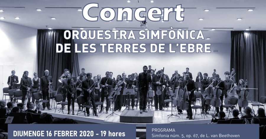 L&rsquo;auditori de la Fila acollir� el concert d&rsquo;hivern de l&rsquo;OSTE
