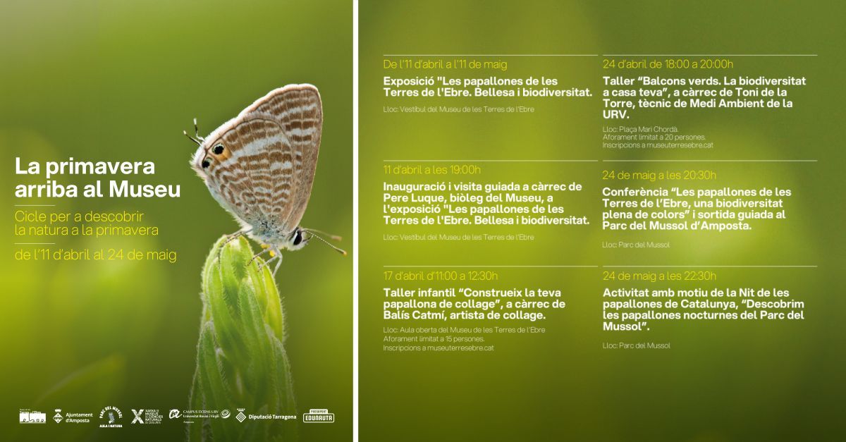 Conferncia "Les papallones de les Terres de lEbre, una biodiversitat plena de colors"