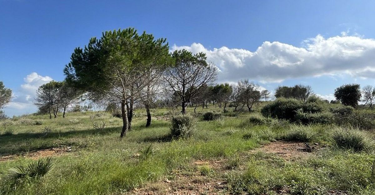 Amposta signa un acord de cust�dia de terrenys municipals amb Aula i Natura