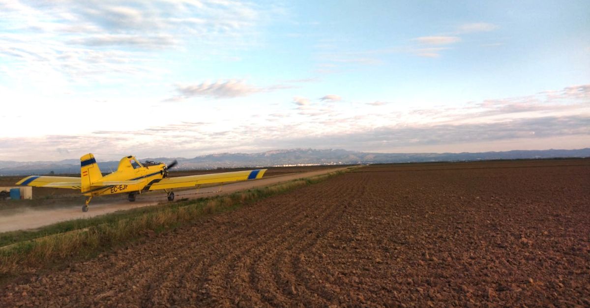 EL COPATE inicia els tractaments contra els mosquits en espais naturals del delta de l�Ebre