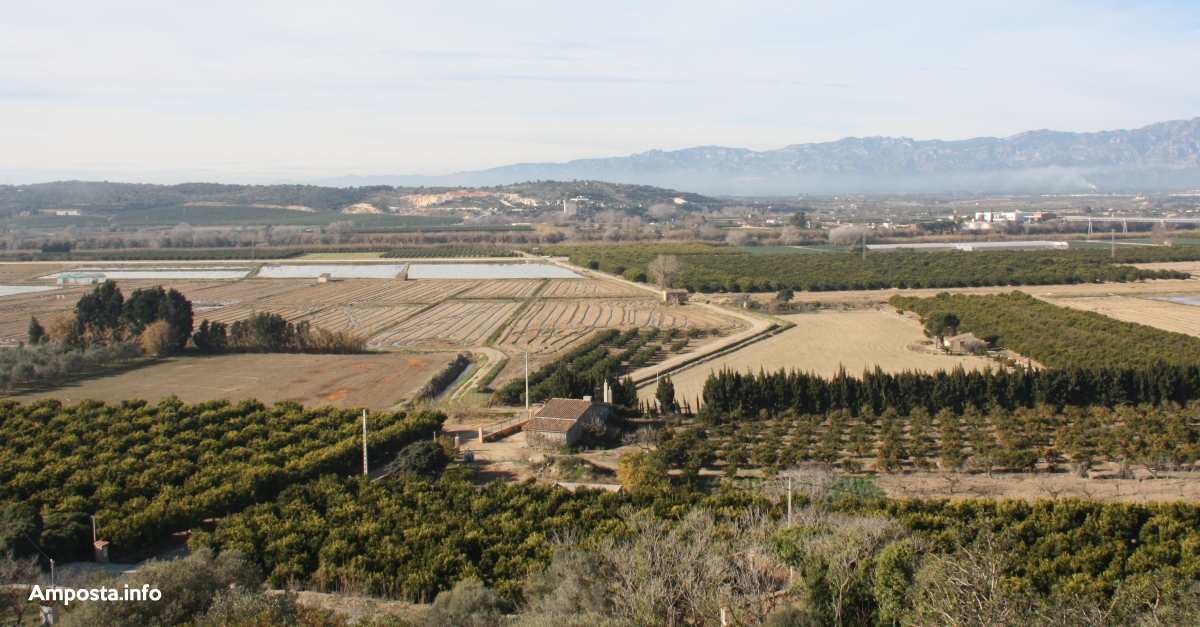 El COPATE promou el primer banc de terres territorial per enfortir el sector agrari ebrenc