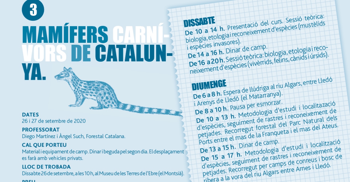 Curs: Mamfers carnvors de Catalunya