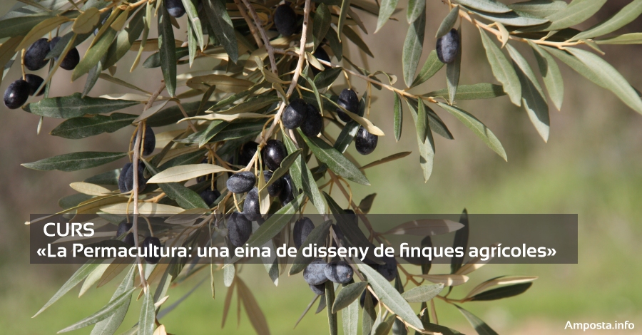 Curs La Permacultura: una eina de disseny de finques agrcoles