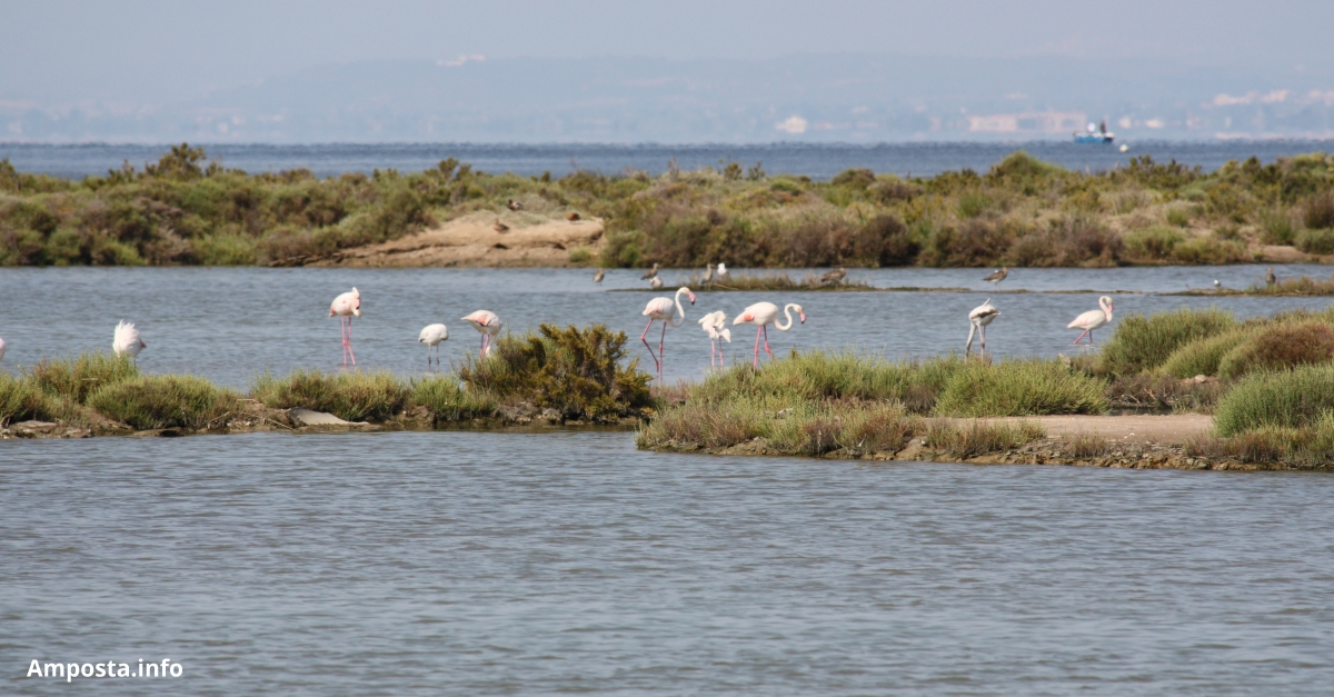 Els premis Cond� Nast Traveler reconeixen el Delta de l�Ebre com a millor destinaci� estatal