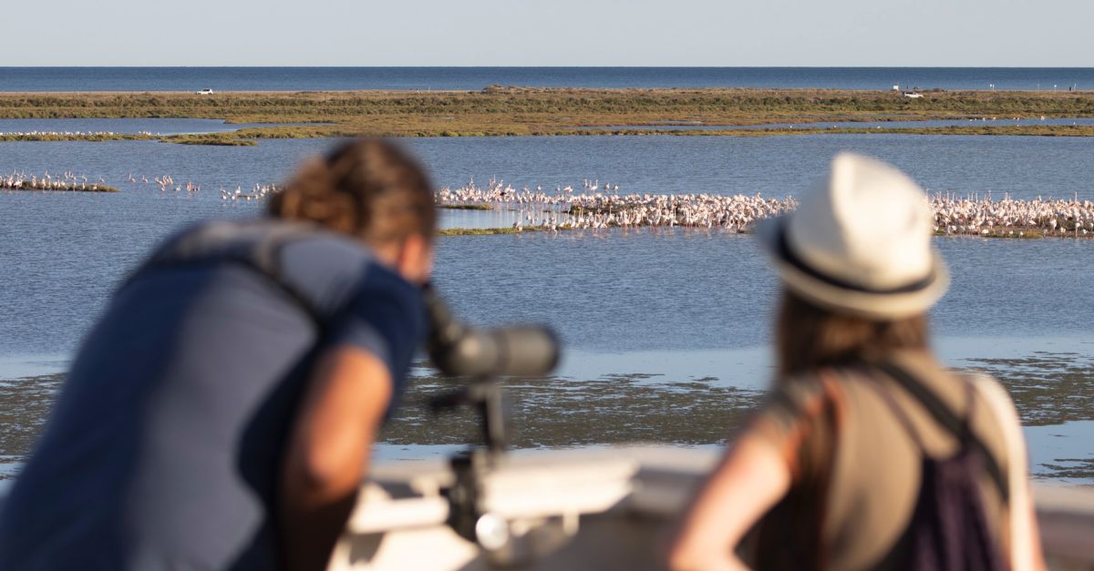 El Delta Birding Festival rep 4.000 visites