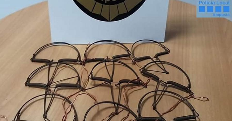 Denunciat un ve� d�Amposta per possessi� de paranys per a la ca�a il�legal de moixons
