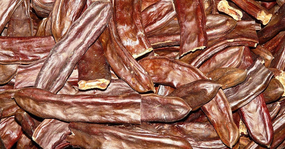 Un detingut Amposta en el marc dels controls preventius per evitar furts de garrofes