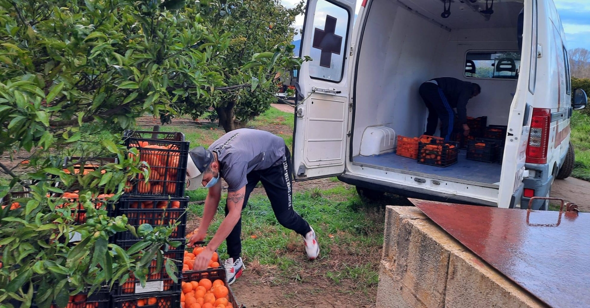 Donaci de mandarines a Creu Roja Amposta