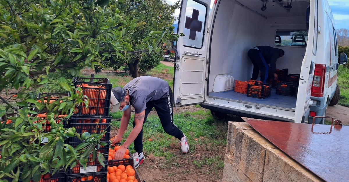 Donaci� de mandarines a Creu Roja Amposta