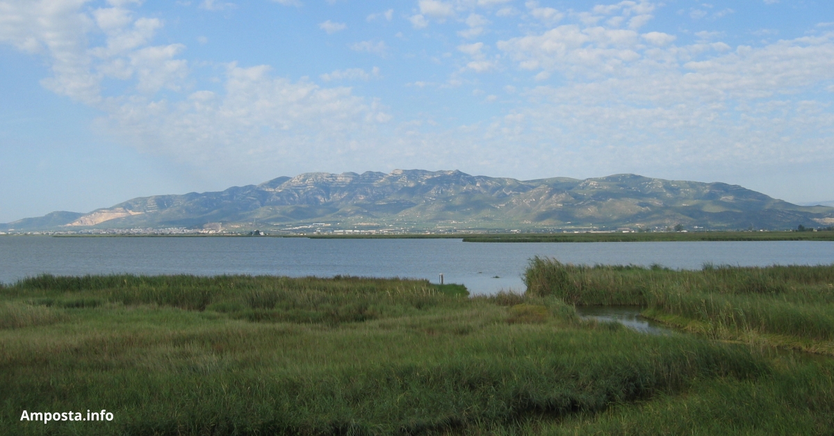 El Pla estatal de Protecci� del Delta de l&rsquo;Ebre s&rsquo;aprovar� a l&rsquo;agost