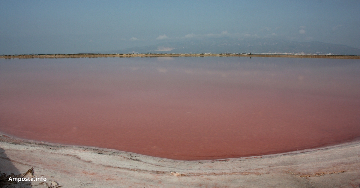 El nou cl�ster d�Economia Blava del Delta de l�Ebre reivindica el paper mediambiental de les empreses