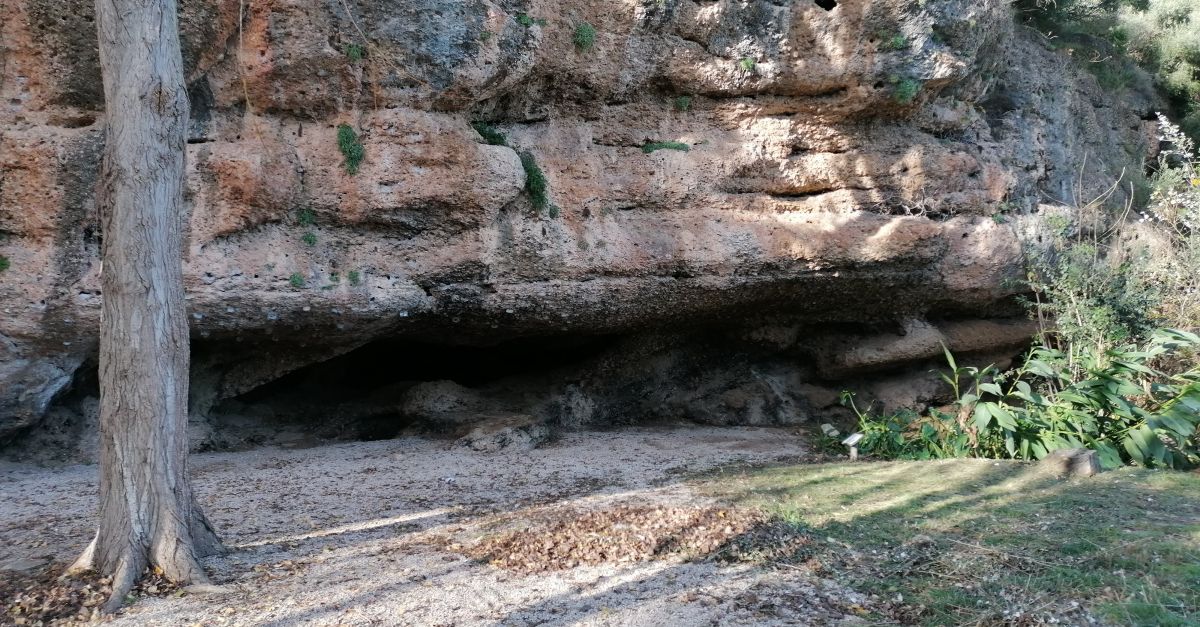 Es prohibeix l�escalada al Jard� del Bou per la pres�ncia de flora amena�ada i en perill d�extinci�.