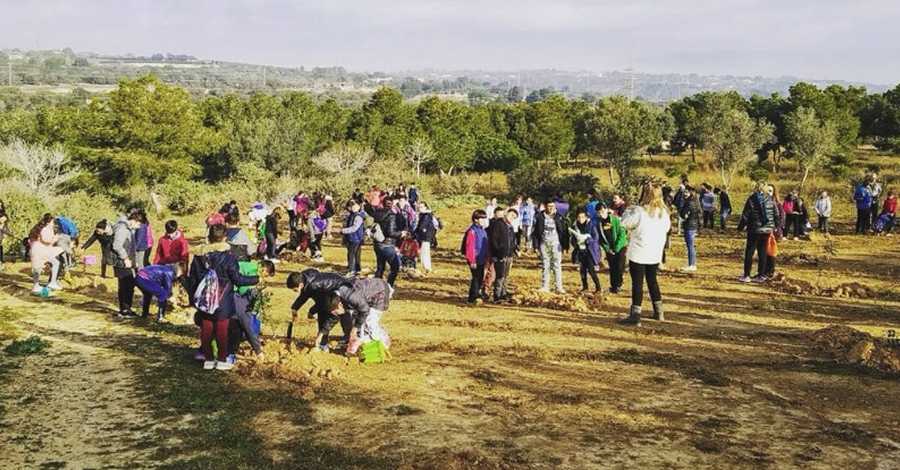 Els escolars d�Amposta celebren la Festa de l�Arbre