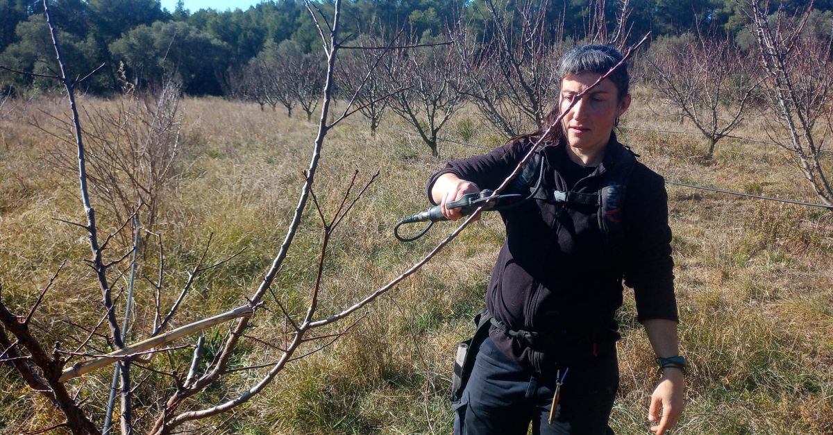Les Escoles Agr�ries volen acompanyar i assessorar joves amb iniciatives viables en el sector agropecuari