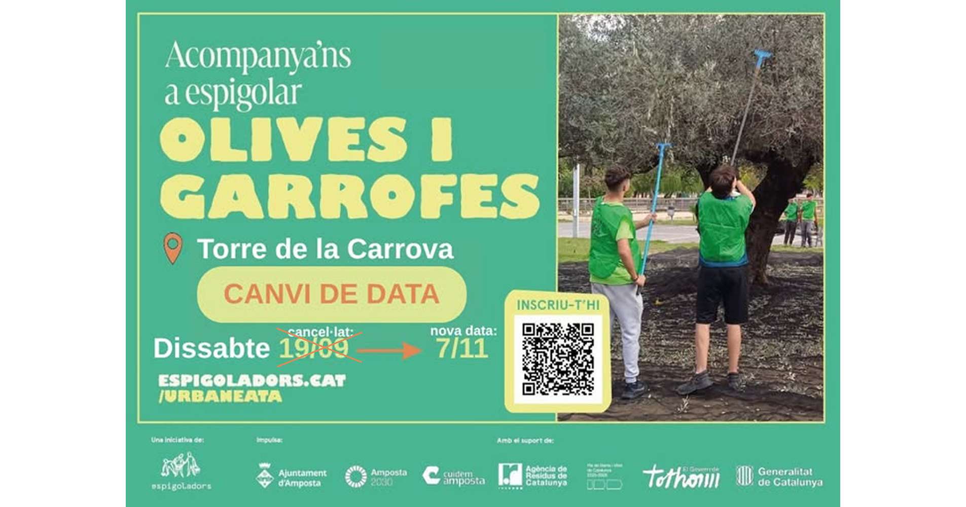 Acompanya�ns a espigolar olives i garrofes