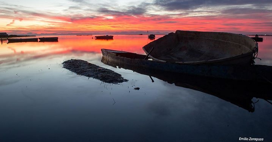 Exposici: "La meua terra s de colors" dEmlio Zaragoza