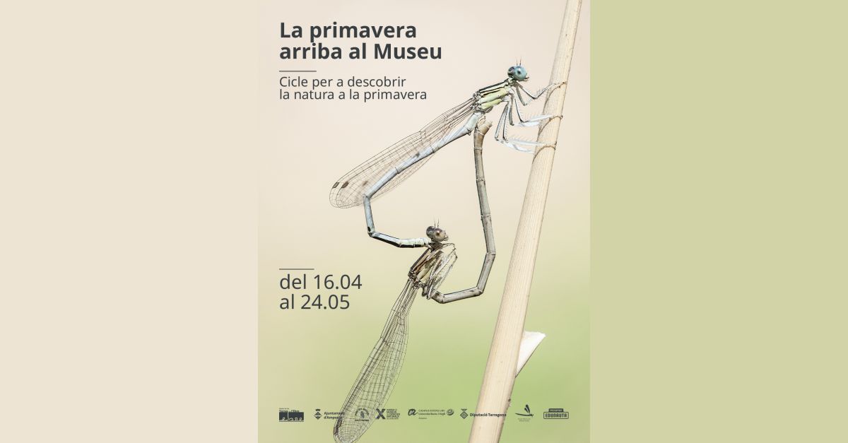 Exposici� fotogr�fica "Lib�l�lules de les Terres de l�Ebre"